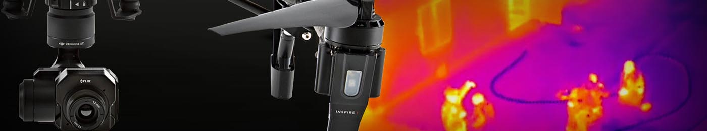 Seguridad y salvamento