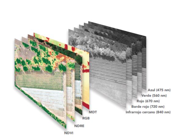 Comparativa cámaras multiespectrales
